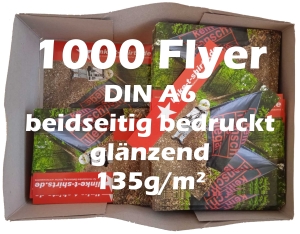 Flyer: 1000 Flyer, beidseitig bedruckt, 135g/m², glänzend