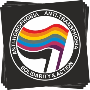 Aufkleber-Paket: Anti-Homophobia - Anti-Transphobia - Solidarity and Action
