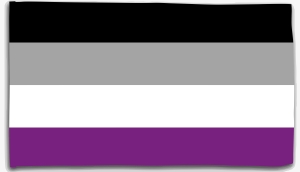 Fahne / Flagge (ca. 150x100cm): Asexuell