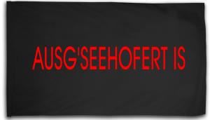 Fahne / Flagge (ca. 150x100cm): Ausg'Seehofert is