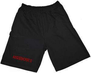 Shorts: Ausg'Seehofert is