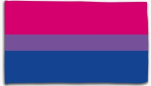 Fahne / Flagge (ca. 150x100cm): Bisexuell