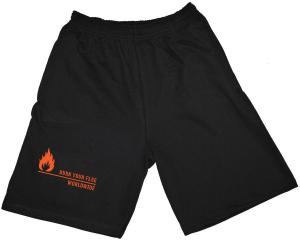Shorts: Burn your flag - worldwide