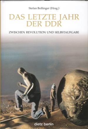 Buch: Das letzte Jahr der DDR