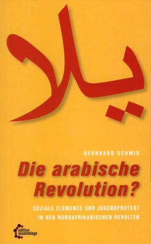 Buch: Die arabische Revolution?