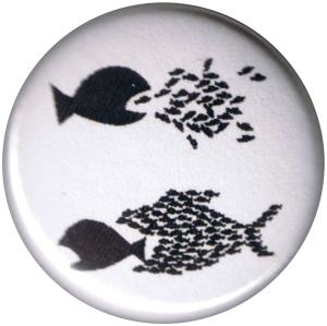 25mm Button: Fische