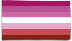 Fahne / Flagge (ca. 150x100cm): Flagge der Lesben - alt