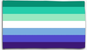 Fahne / Flagge (ca. 150x100cm): Gay