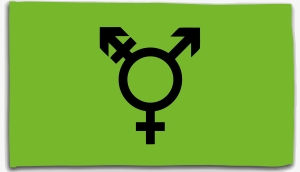 Fahne / Flagge (ca. 150x100cm): Genderqueer