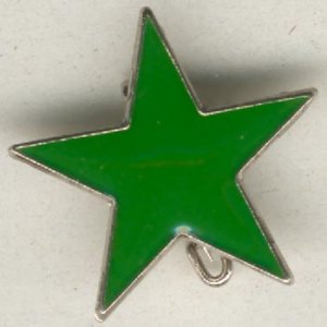Anstecker / Pin: grüner Stern