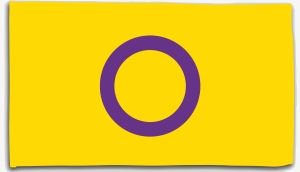Fahne / Flagge (ca. 150x100cm): Intersexualität