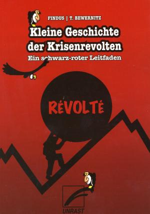 Taschenbuch: Kleine Geschichte der Krisenrevolten  Ein schwarz-roter Leitfaden