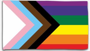 Fahne / Flagge (ca. 150x100cm): New Rainbow