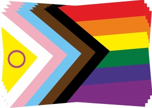 Aufkleber-Paket: Progress Pride Inter