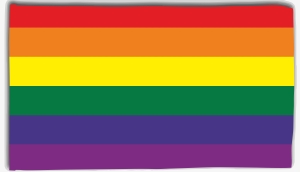 Fahne / Flagge (ca. 150x100cm): Regenbogen (6 Farben)