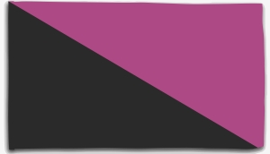 Fahne / Flagge (ca. 150x100cm): Schwarz/lila Fahne