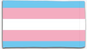 Fahne / Flagge (ca. 150x100cm): Transgender