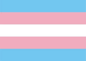 Poster / Poster (DIN A2): Transgender