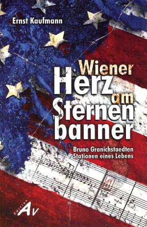 Buch: Wiener Herz am Sternenbanner