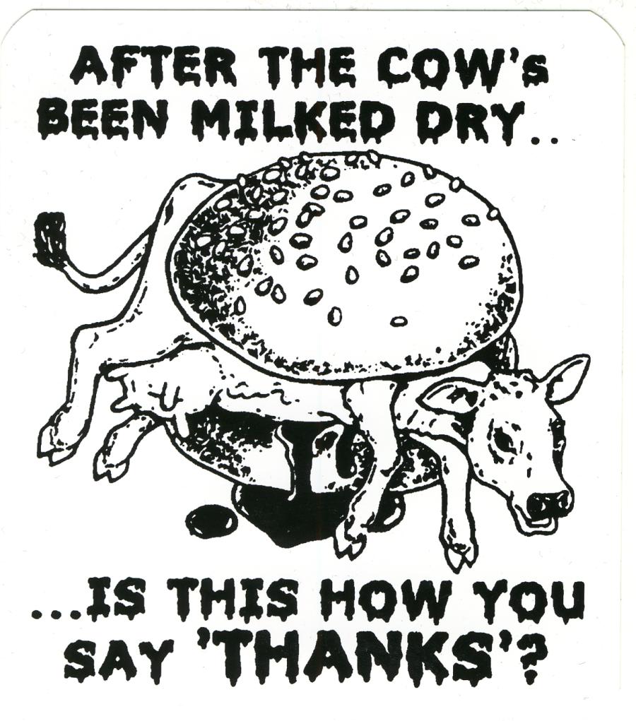 "After the cow's been milked dry... is this how you say 'thanks'?"