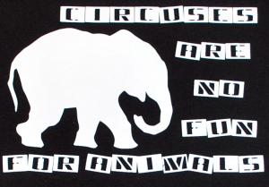 Circuses are no fun for animals