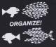 Zum Fairtrade T-Shirt "Organize! Fische" für 18,10 € gehen.