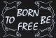 Zum tailliertes T-Shirt "Born to be free" für 14,00 € gehen.