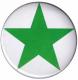 grüner Stern (weiß)
