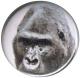 Zum 25mm Button "Unbekannter Affe" für 0,90 € gehen.