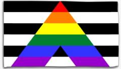 Zur Fahne / Flagge (ca. 150x100cm) "Heterosexuell/Straight Ally" für 20,00 € gehen.