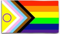 Zur Fahne / Flagge (ca. 150x100cm) "Progress Pride Inter" für 20,00 € gehen.